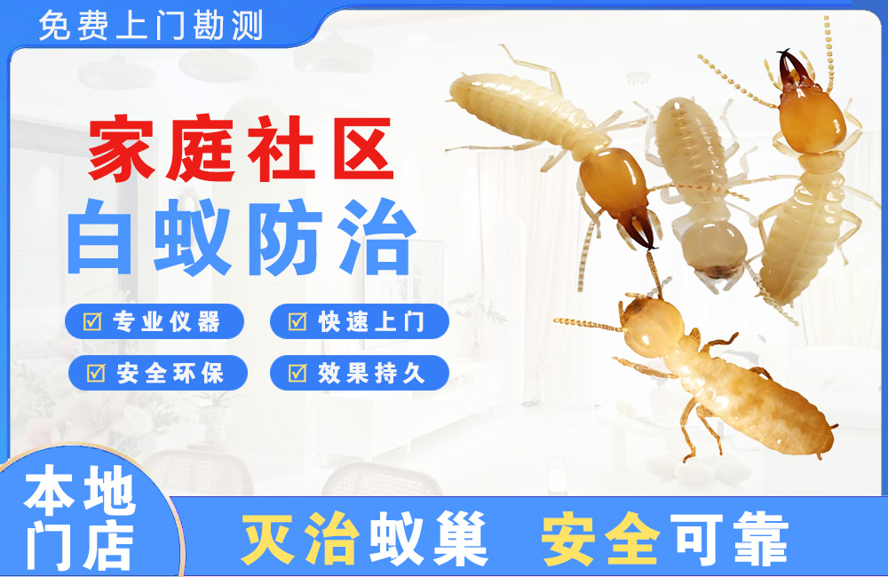 琼中家庭社区白蚁防治