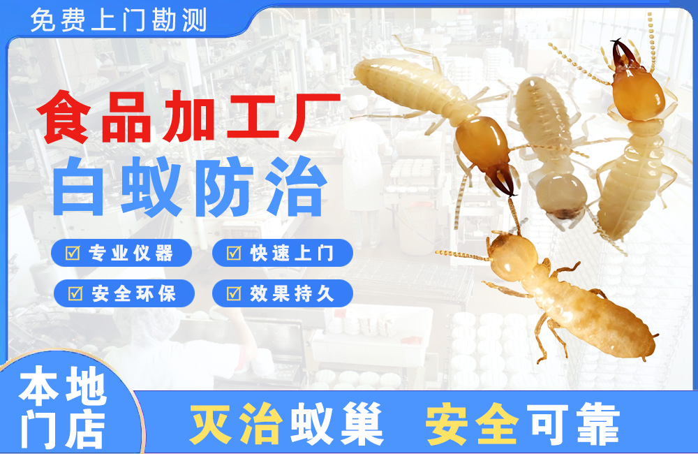 琼中食品加工厂白蚁防治