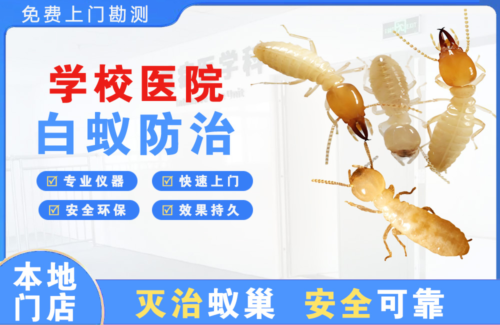 琼中学校医院白蚁防治