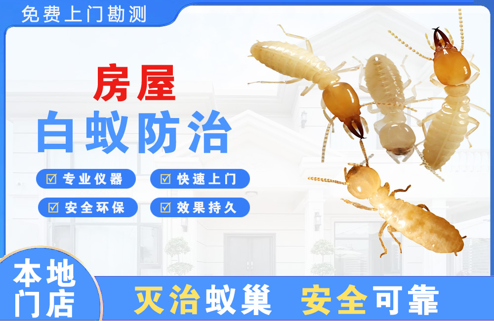 琼中房屋白蚁防治