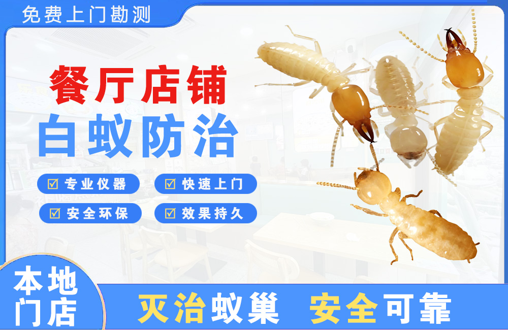 琼中餐厅店铺白蚁防治